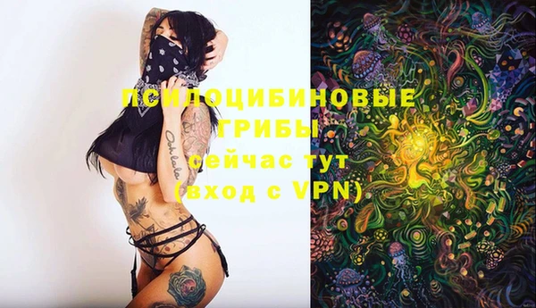 MDMA Дмитровск