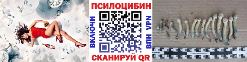Галлюциногенные грибы Psilocybine cubensis где можно купить наркотик Нефтекамск